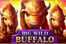 Big Wild Buffalo